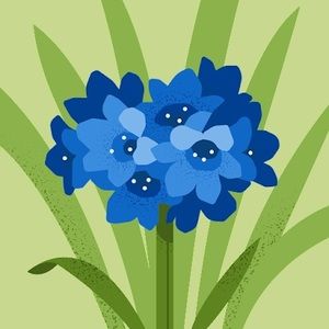 Meet your Posher, Ana